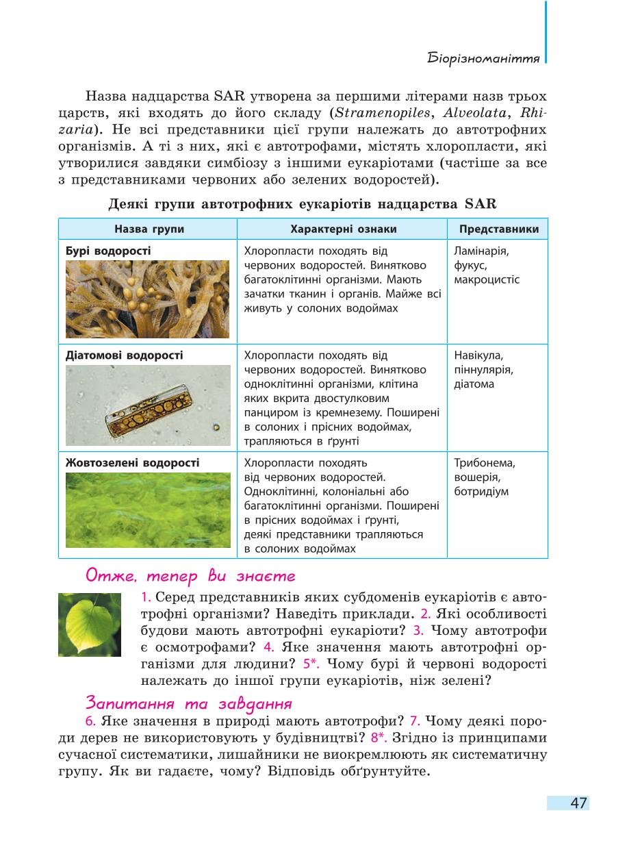 Мініатюра 47