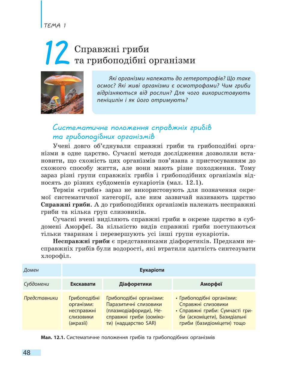 Мініатюра 48