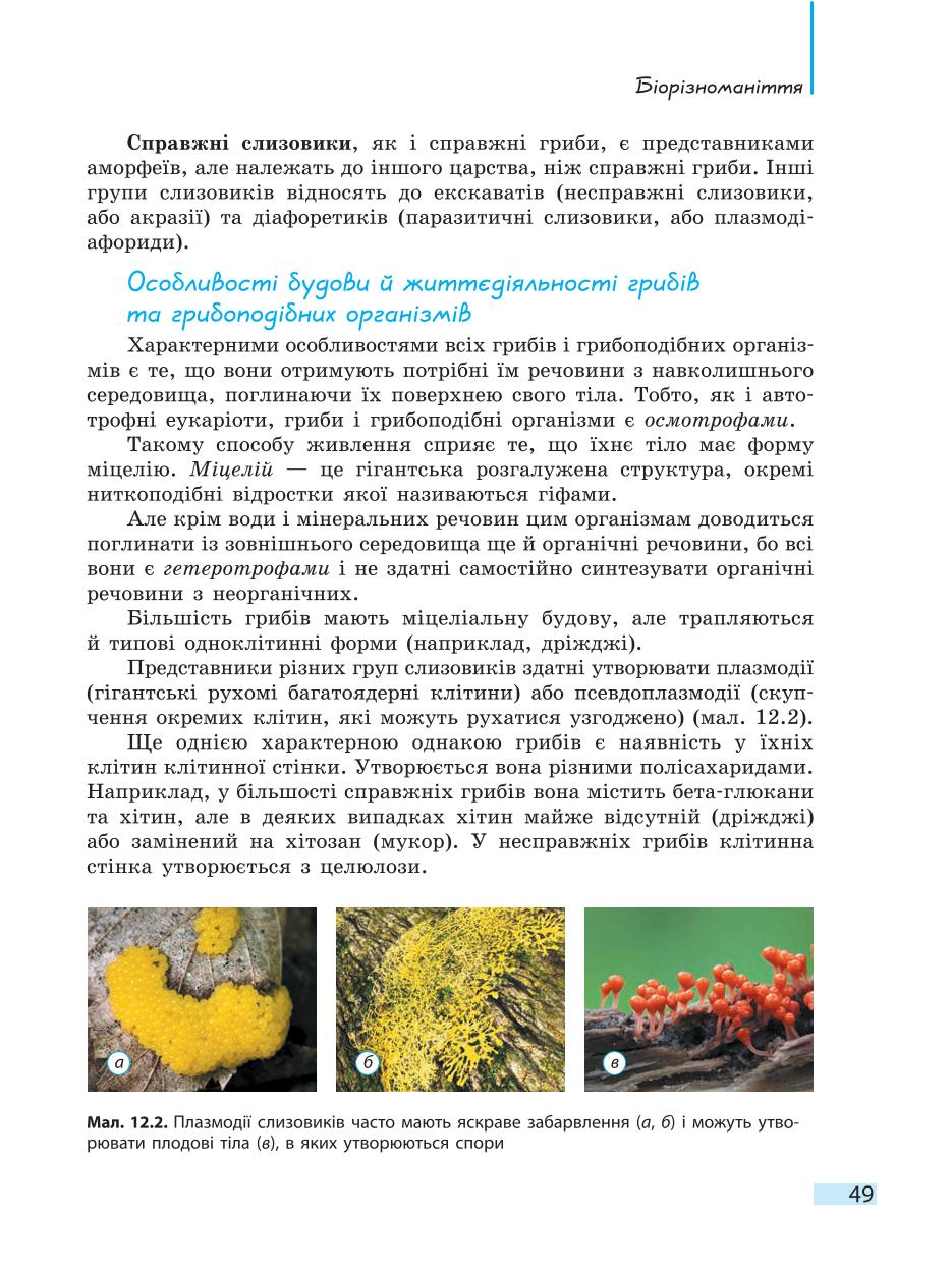 Мініатюра 49
