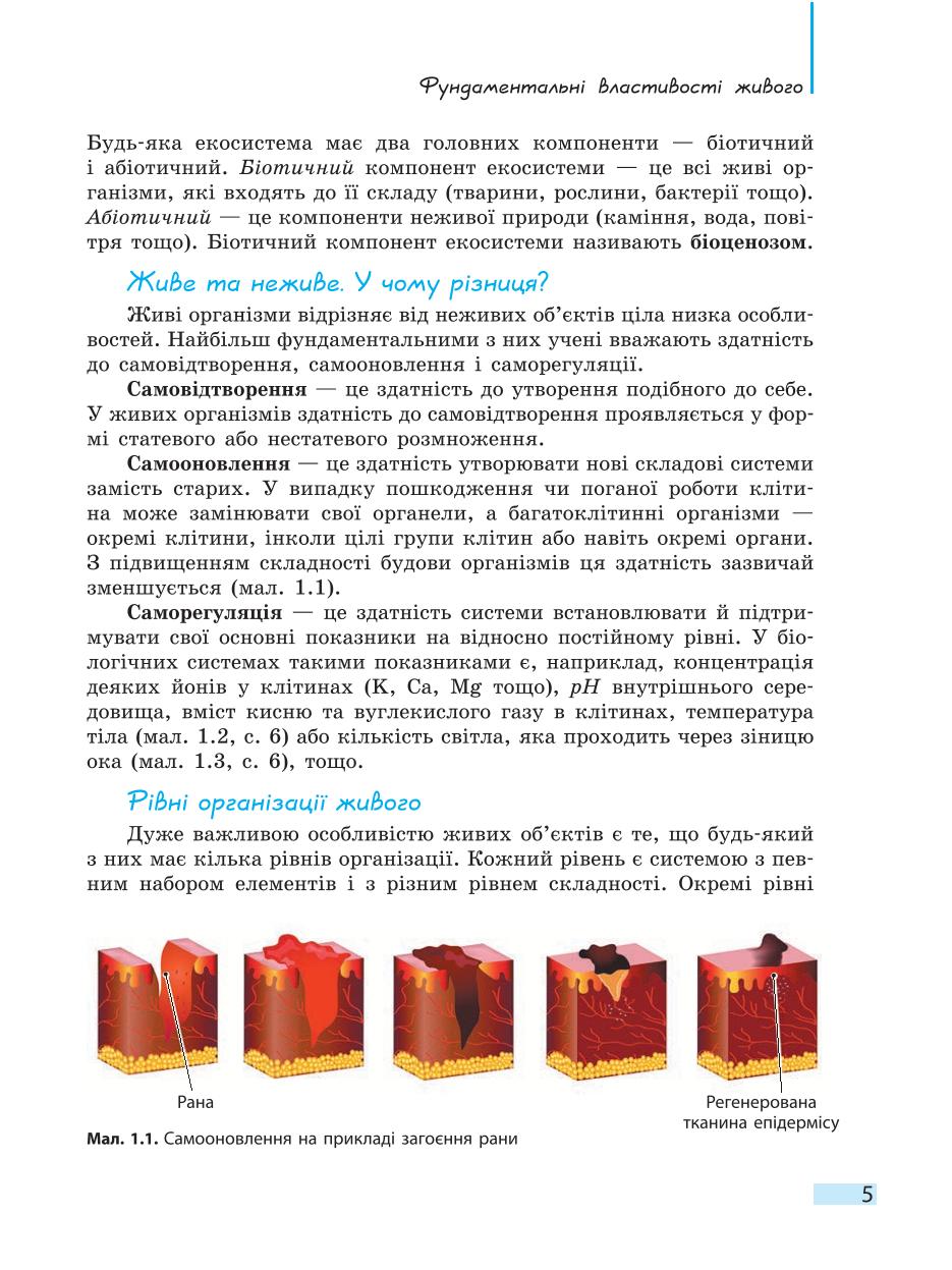 Мініатюра 5