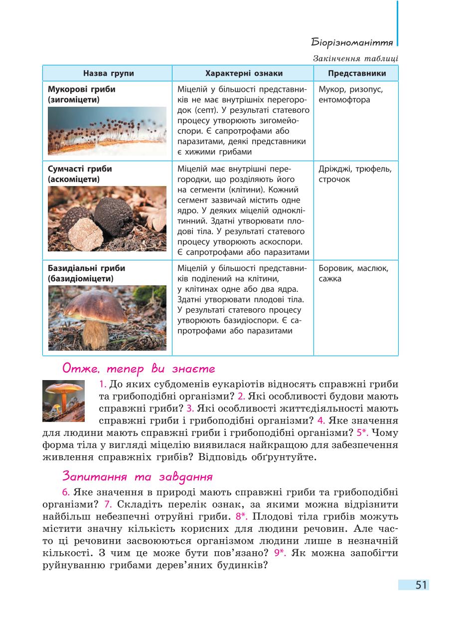 Мініатюра 51