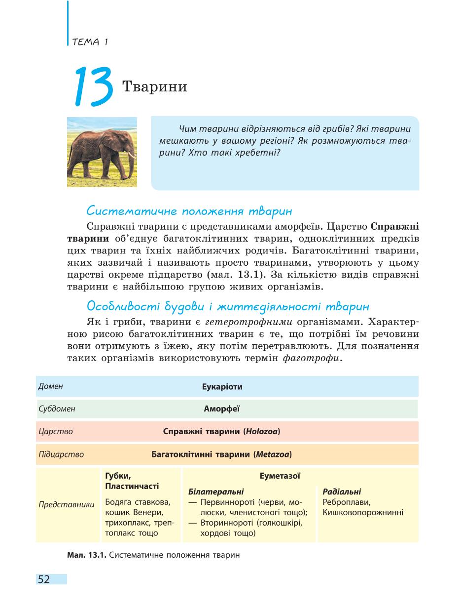 Мініатюра 52