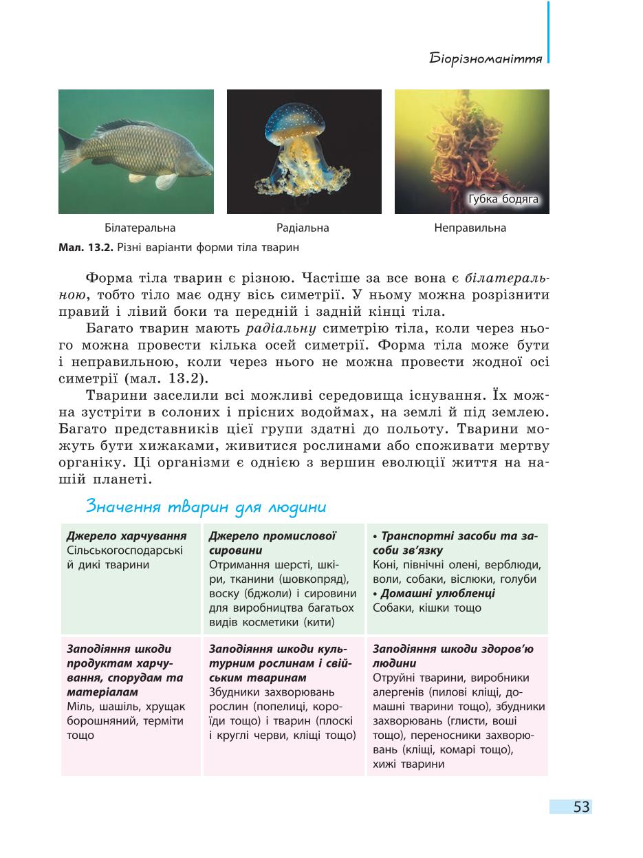 Мініатюра 53