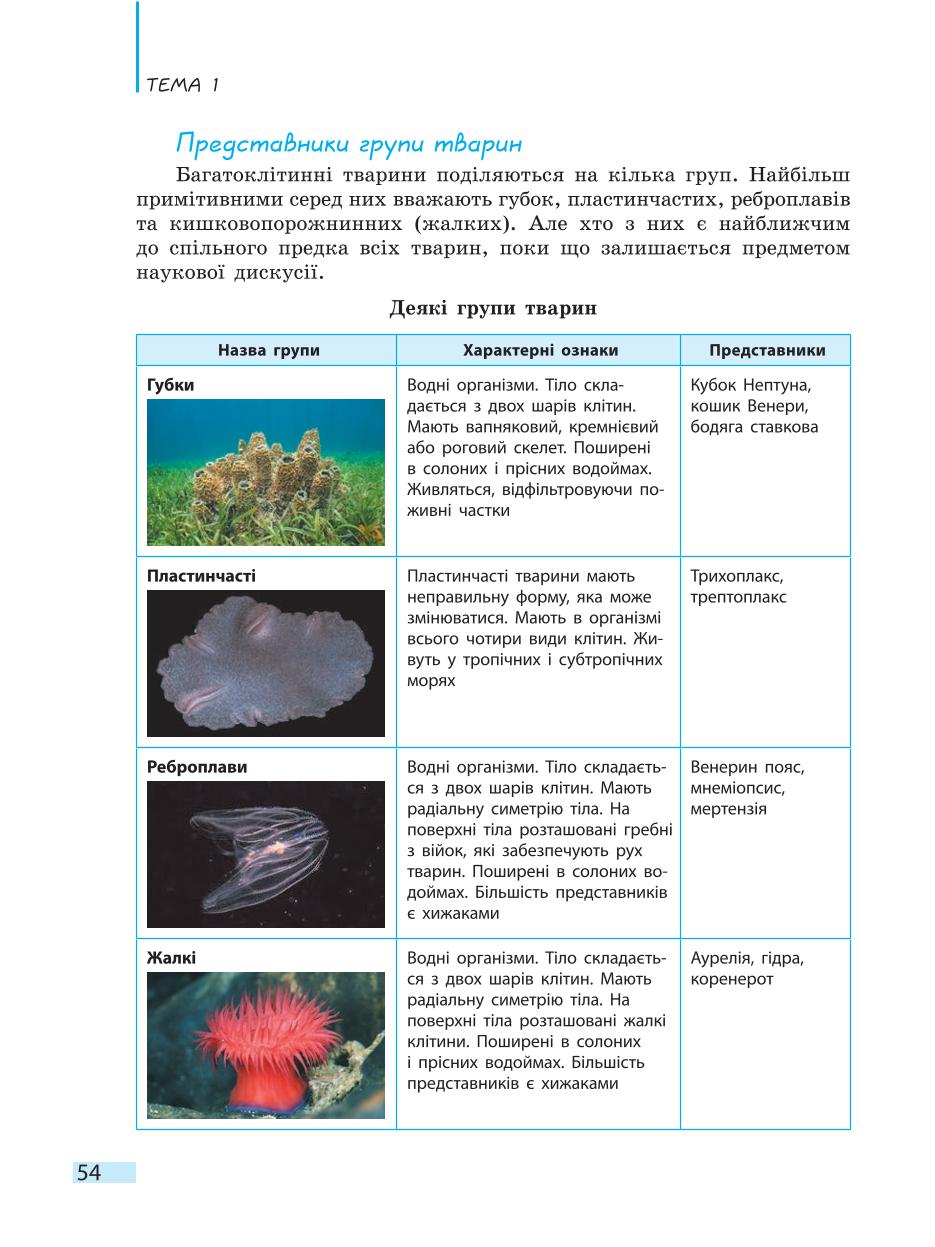 Мініатюра 54