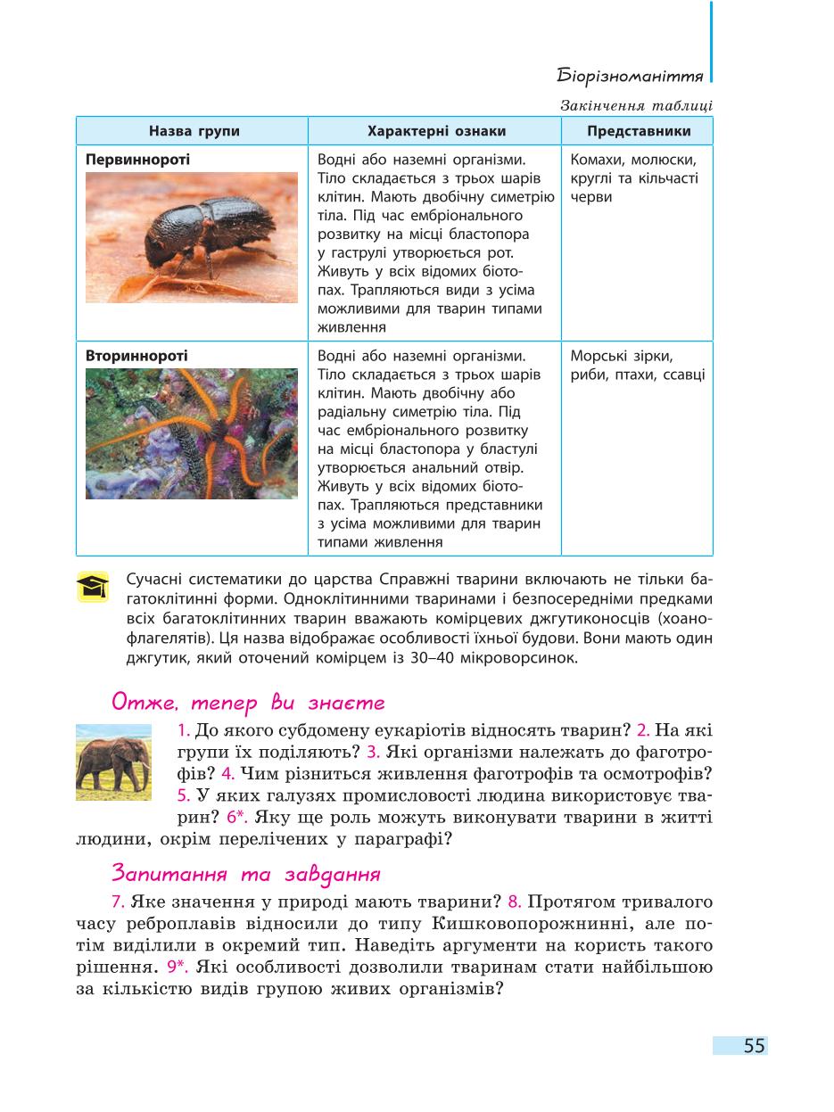 Мініатюра 55