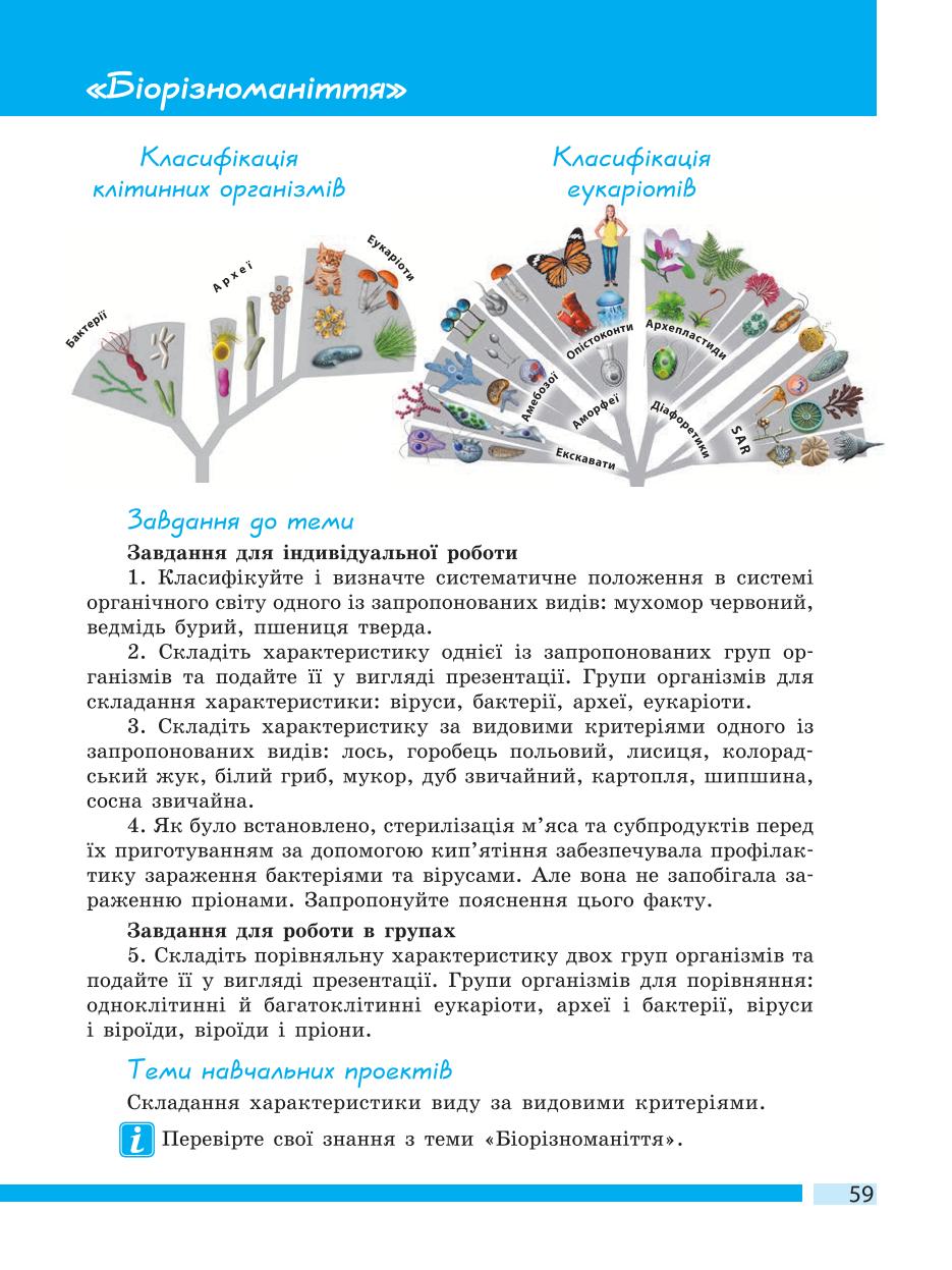 Мініатюра 59