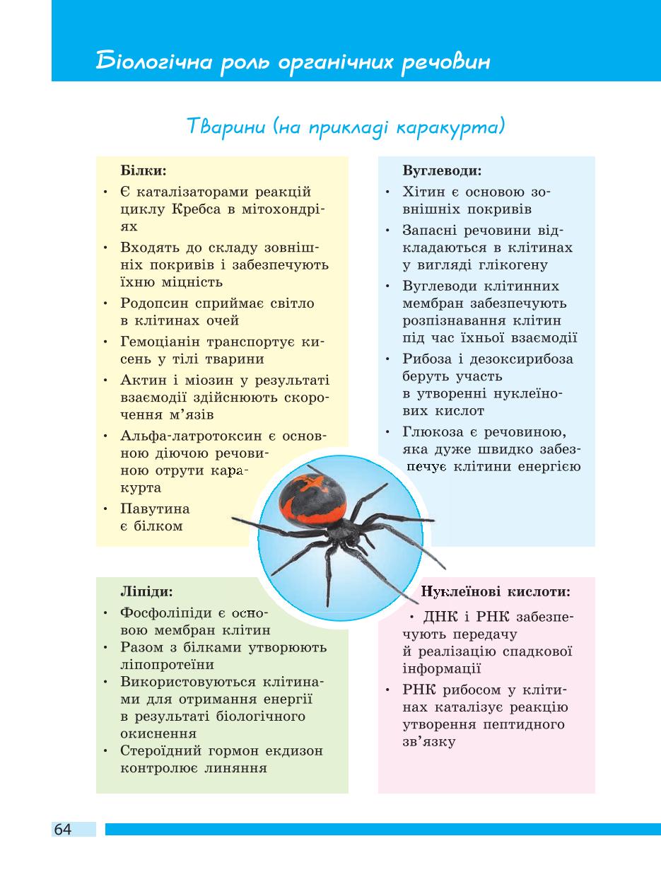 Мініатюра 64