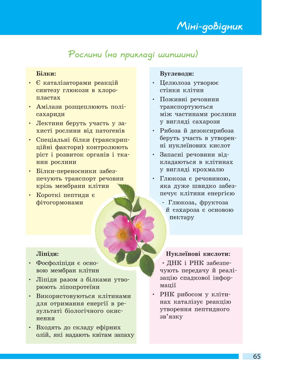Мініатюра 65