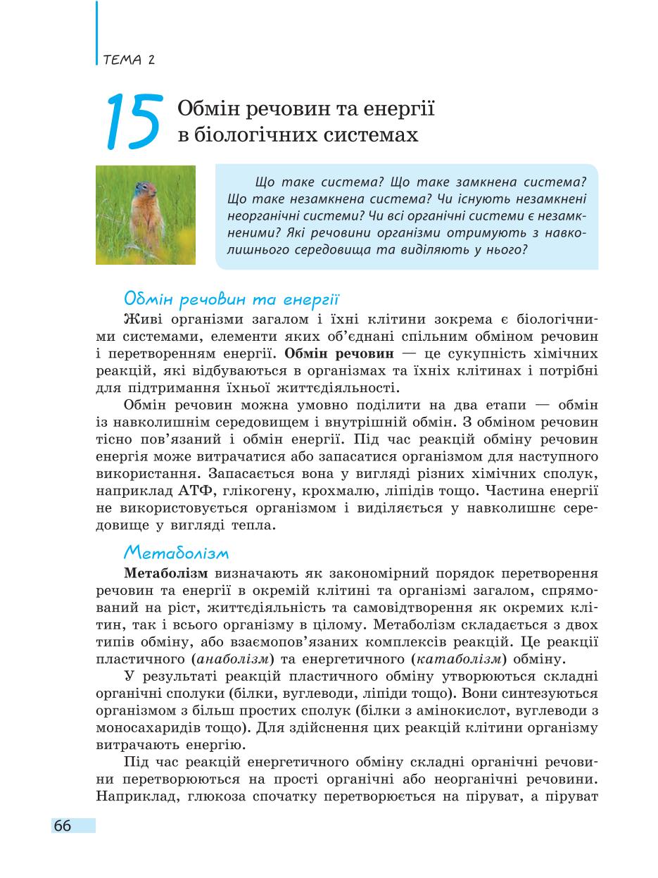 Мініатюра 66