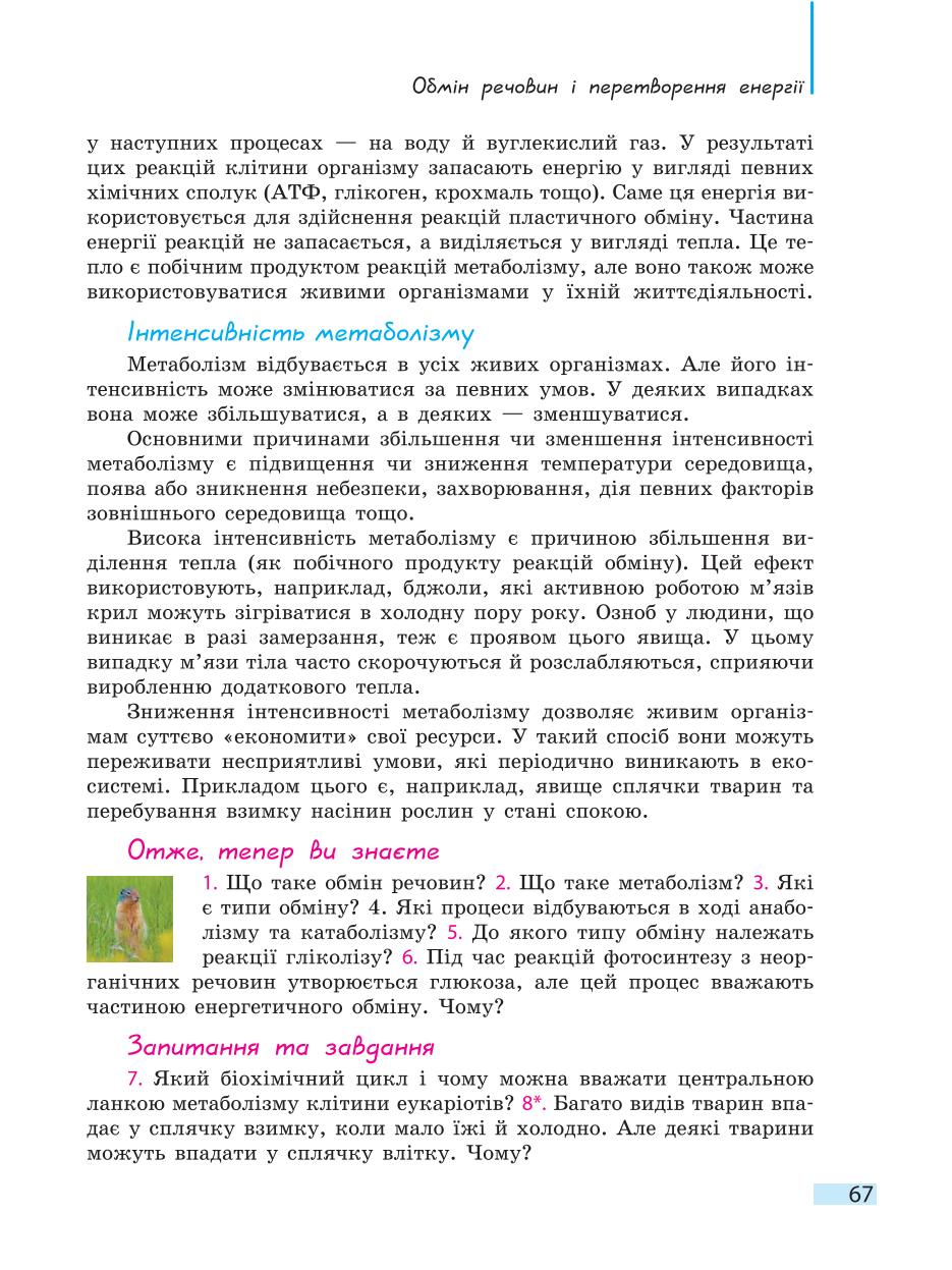 Мініатюра 67