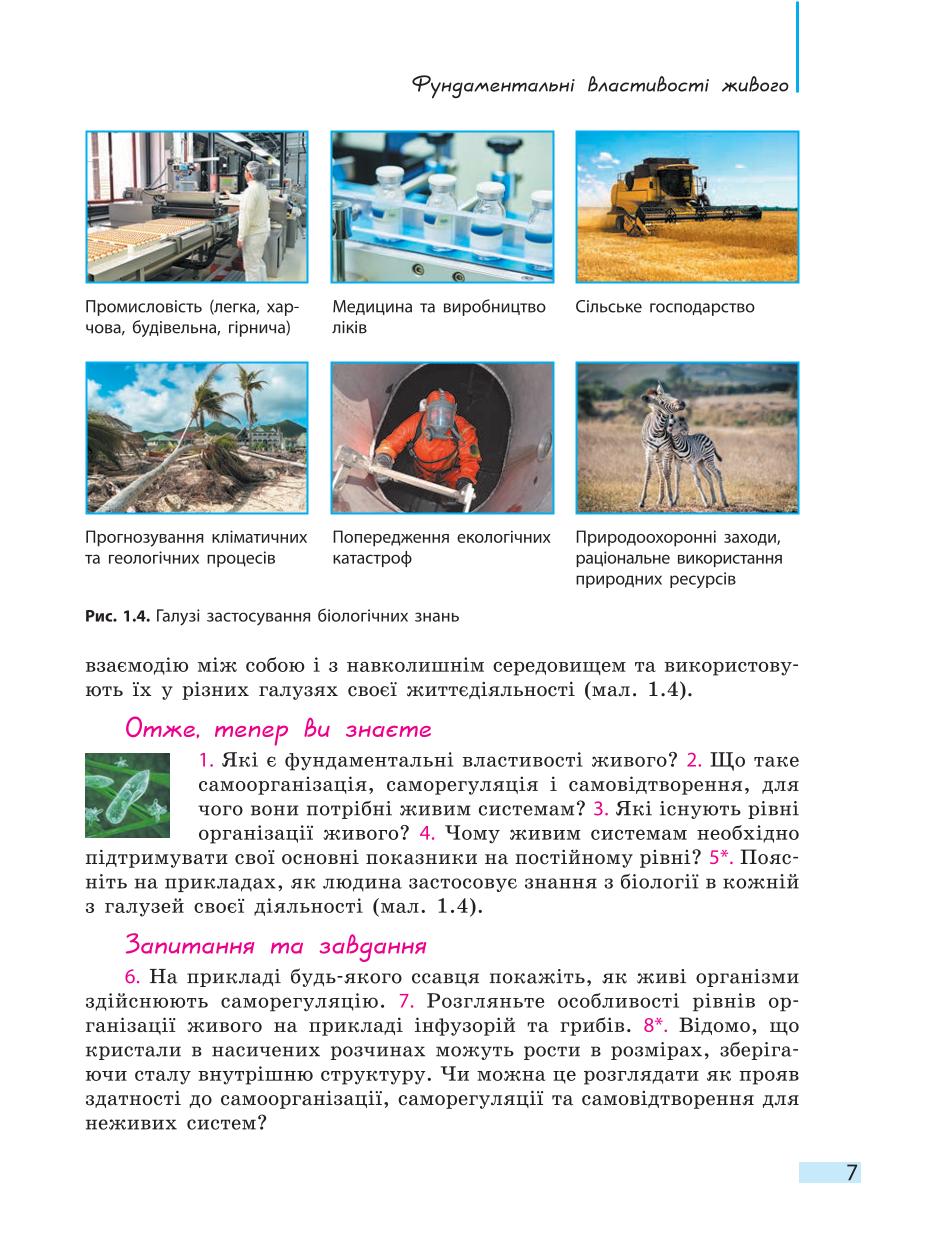 Мініатюра 7