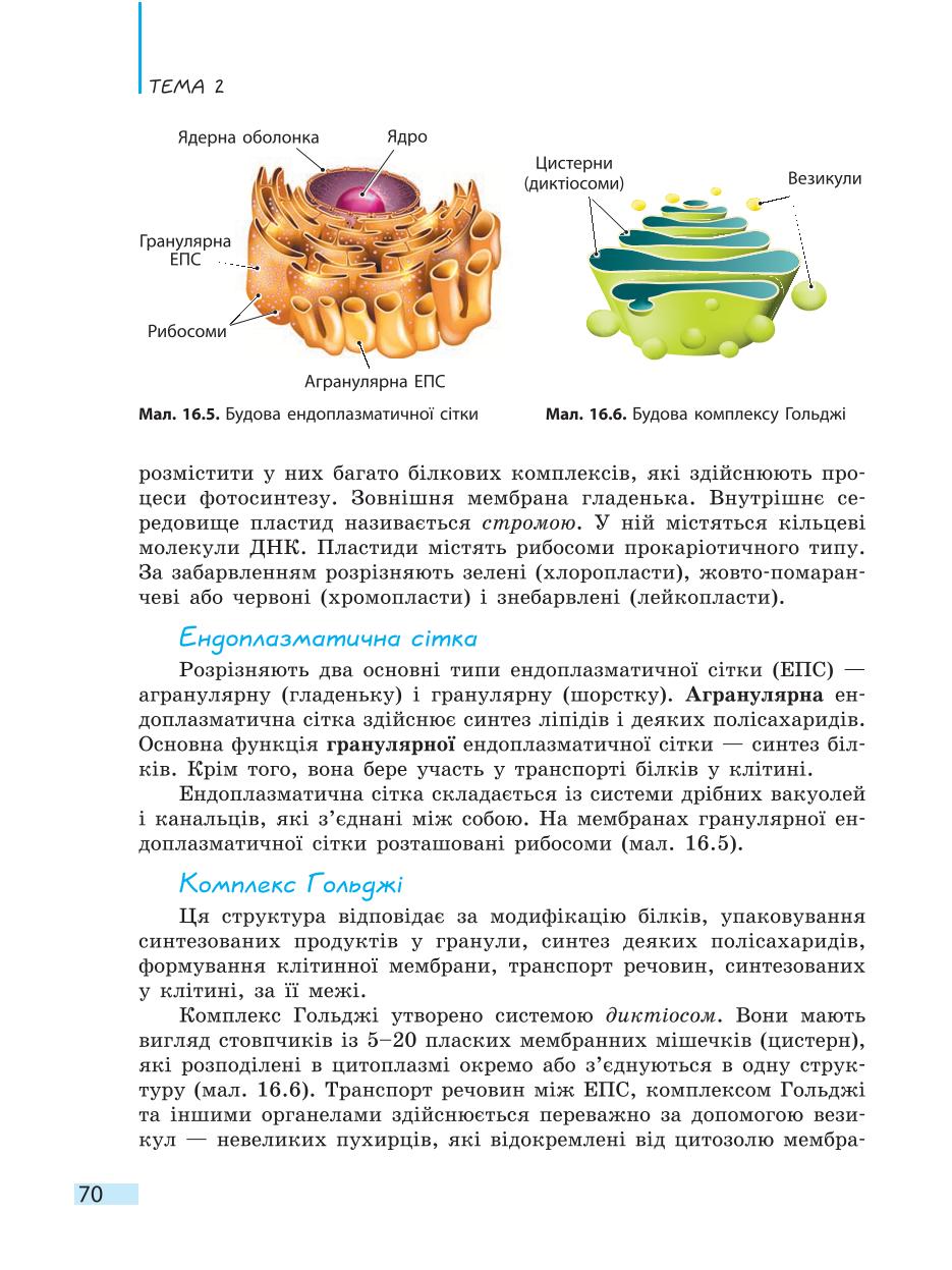 Мініатюра 70