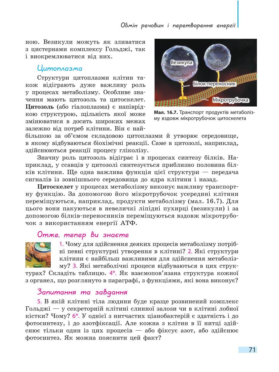 Мініатюра 71