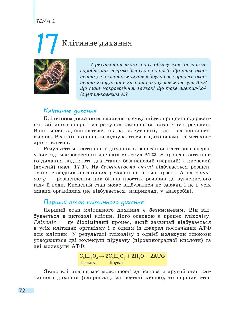 Мініатюра 72