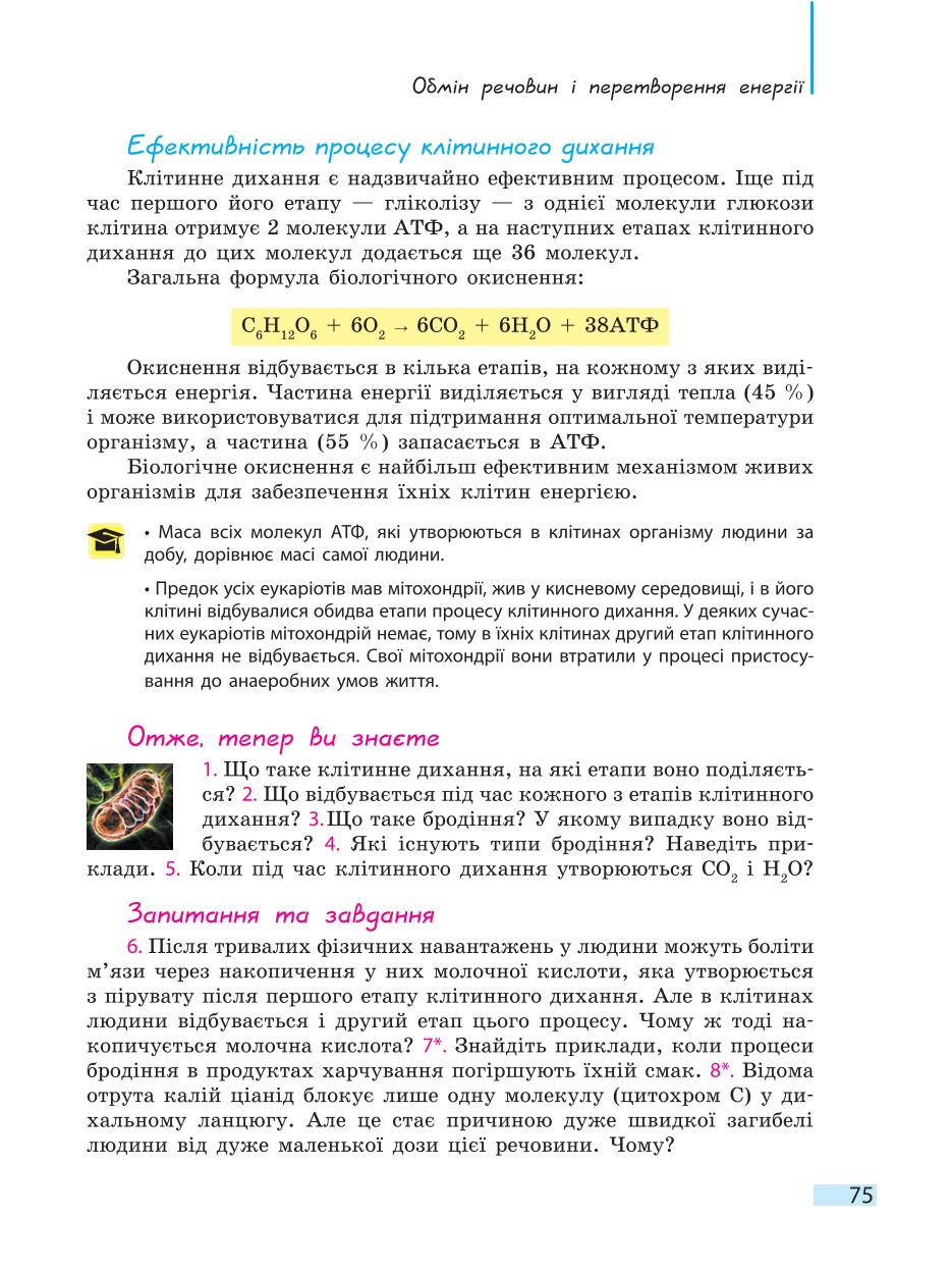 Мініатюра 75