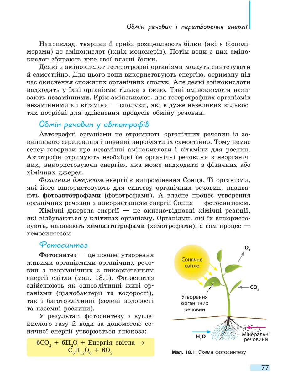 Мініатюра 77