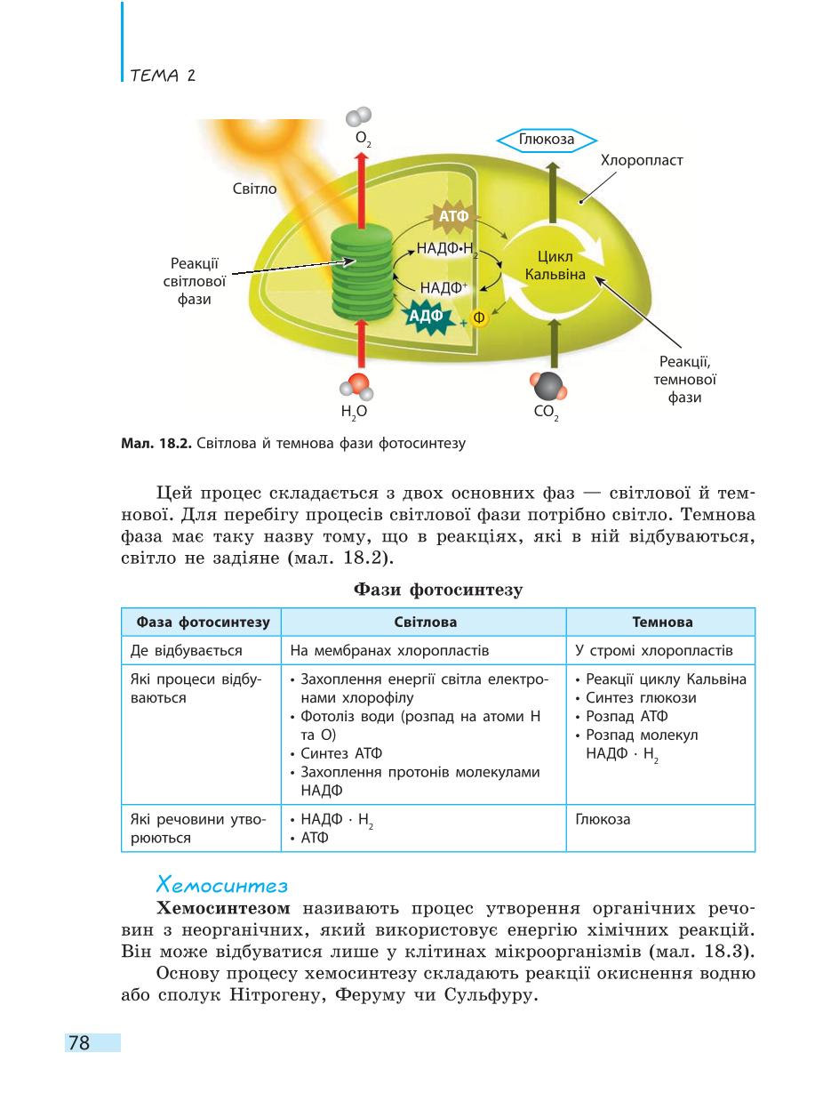 Мініатюра 78