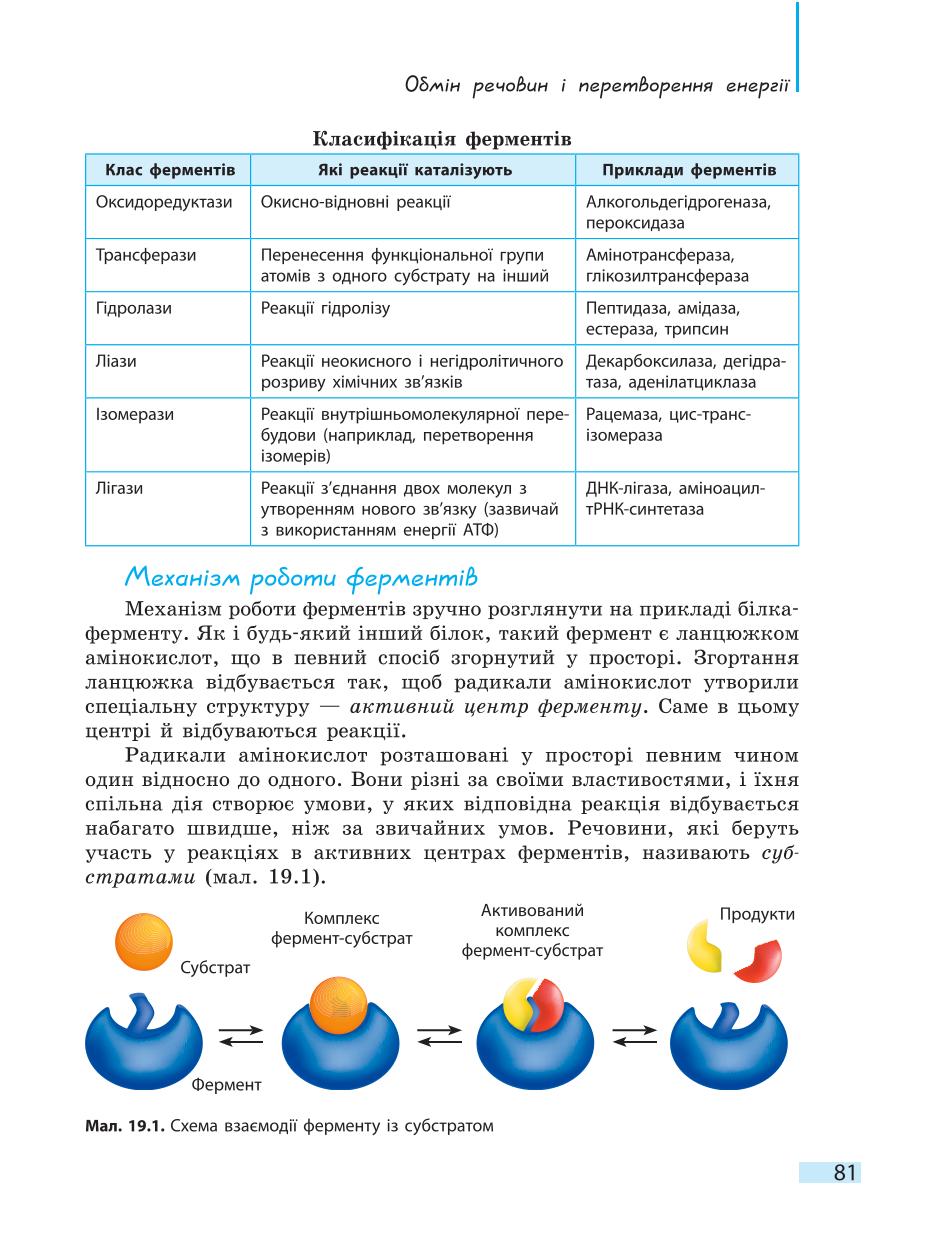 Мініатюра 81