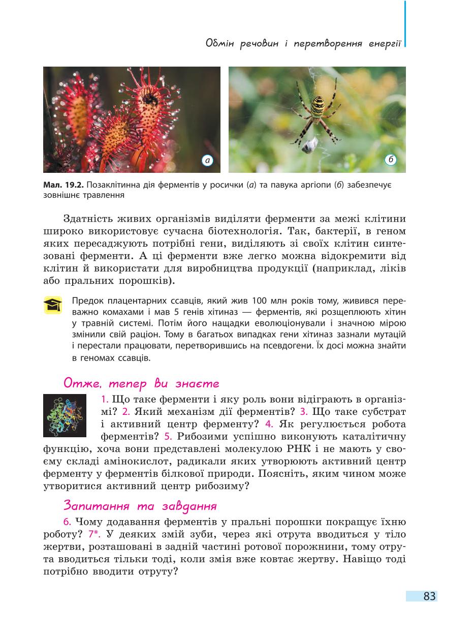 Мініатюра 83