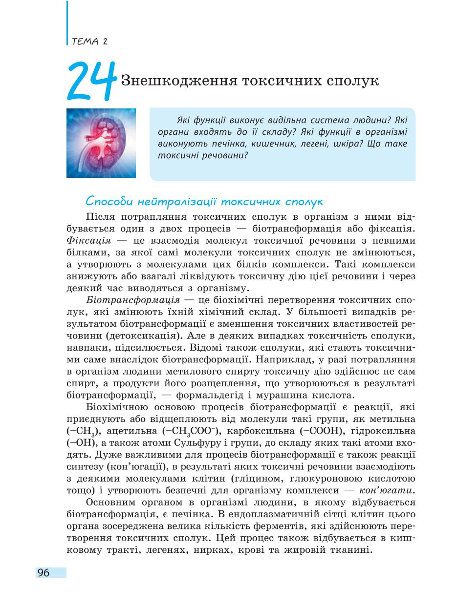 Мініатюра 96