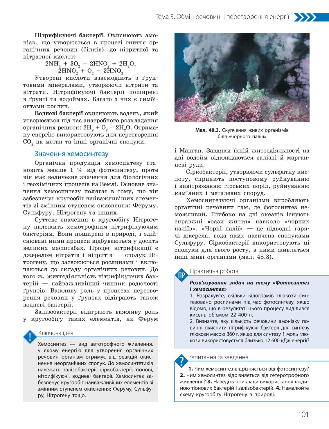 Мініатюра 101
