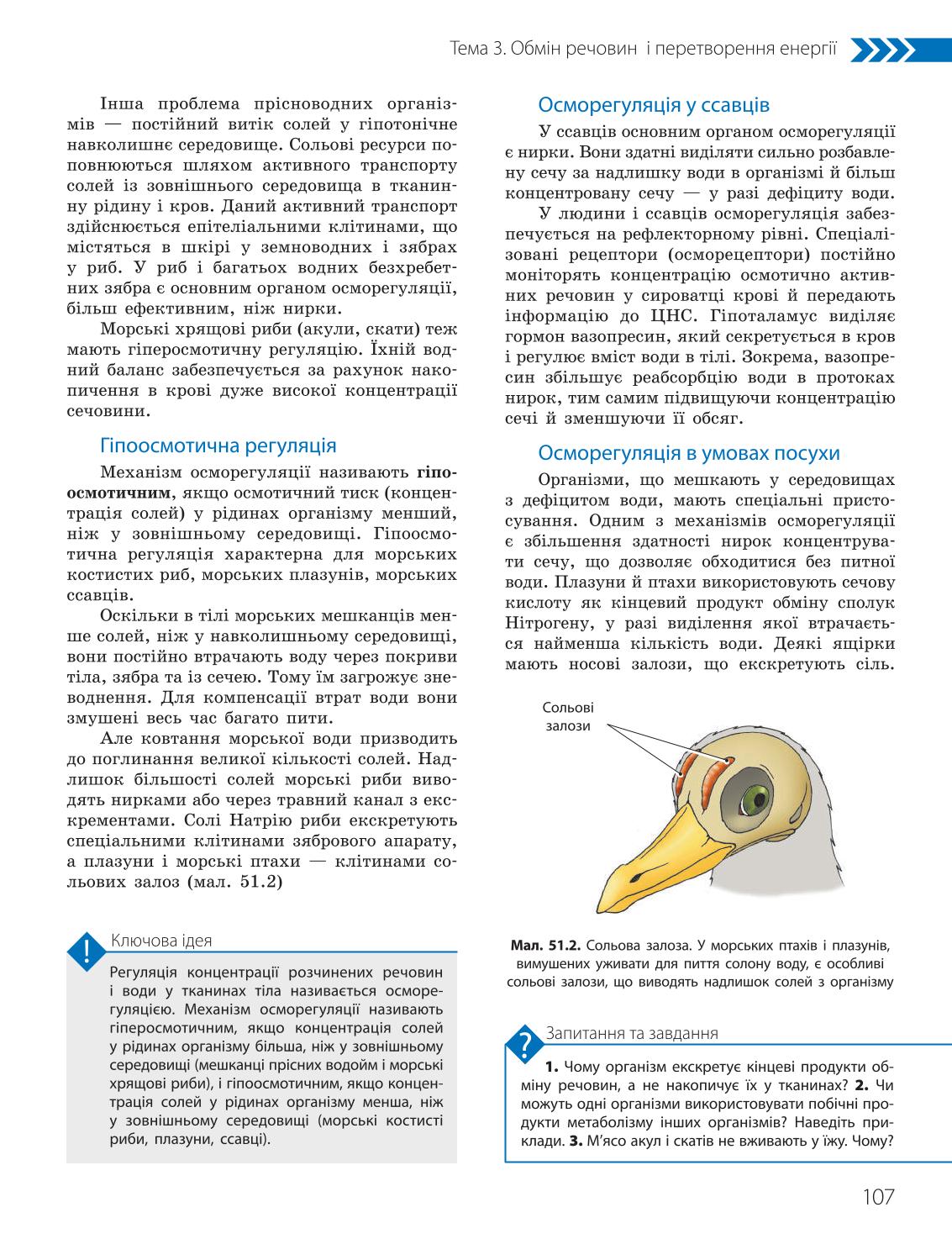 Мініатюра 107