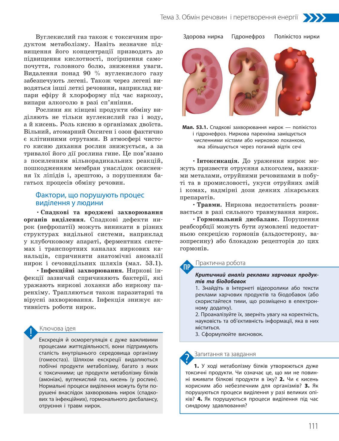 Мініатюра 111