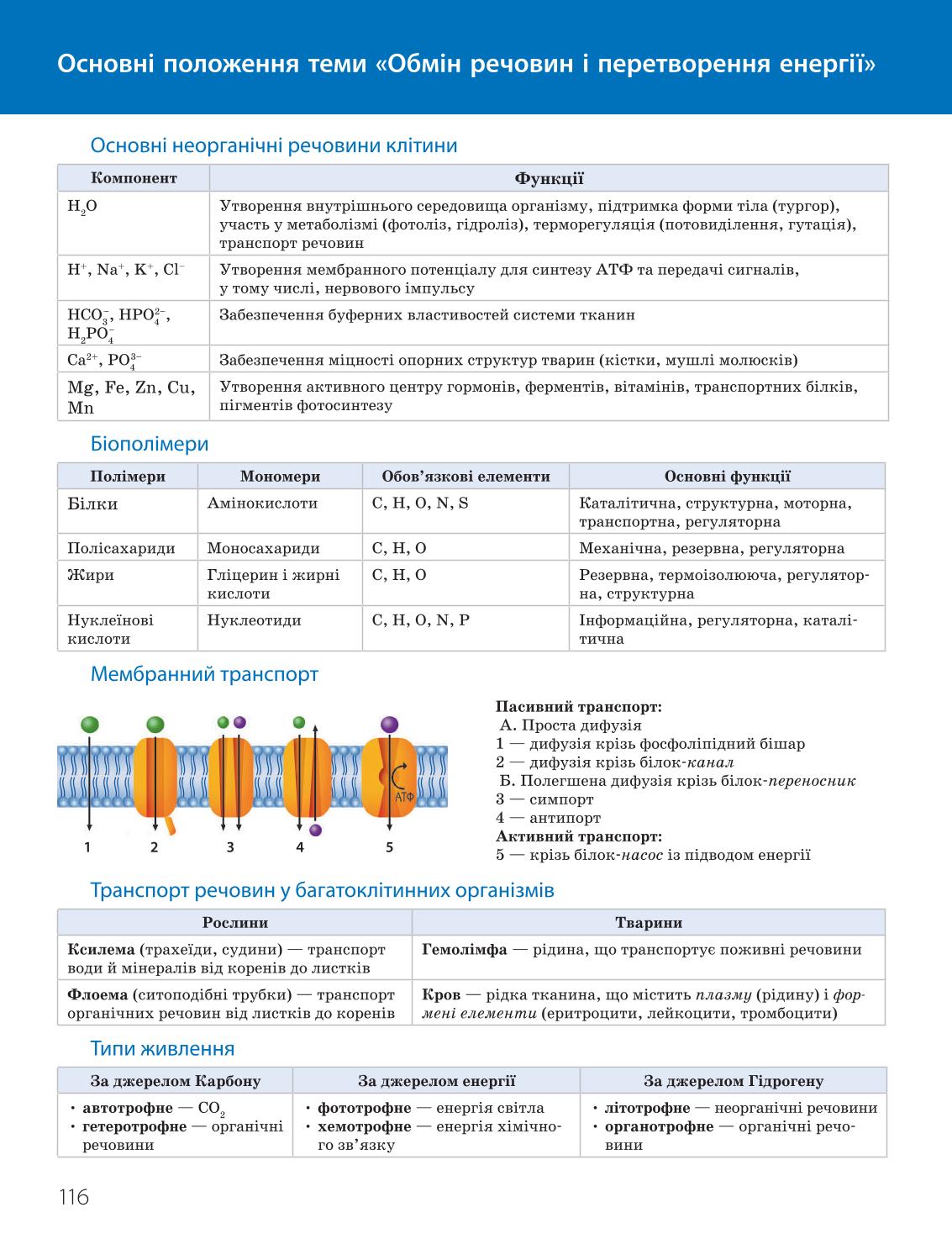 Мініатюра 116