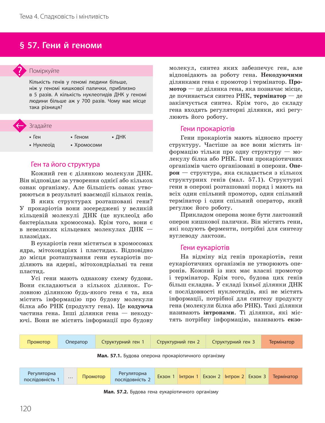 Мініатюра 120