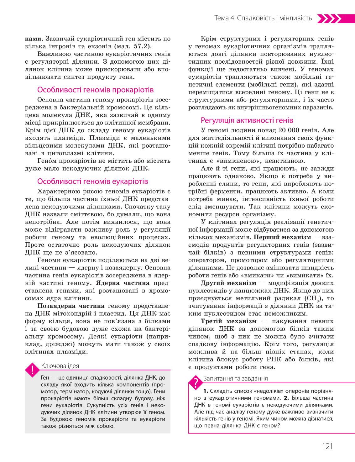 Мініатюра 121