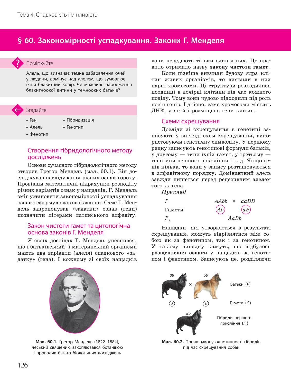 Мініатюра 126