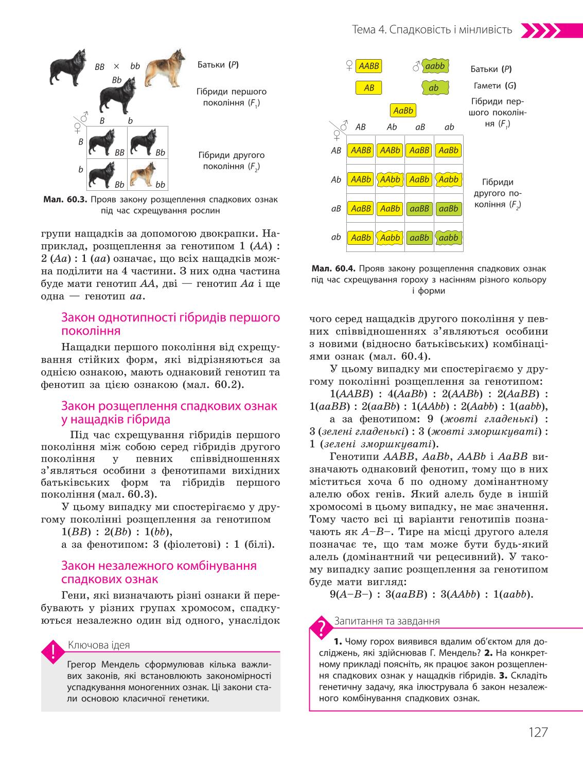 Мініатюра 127