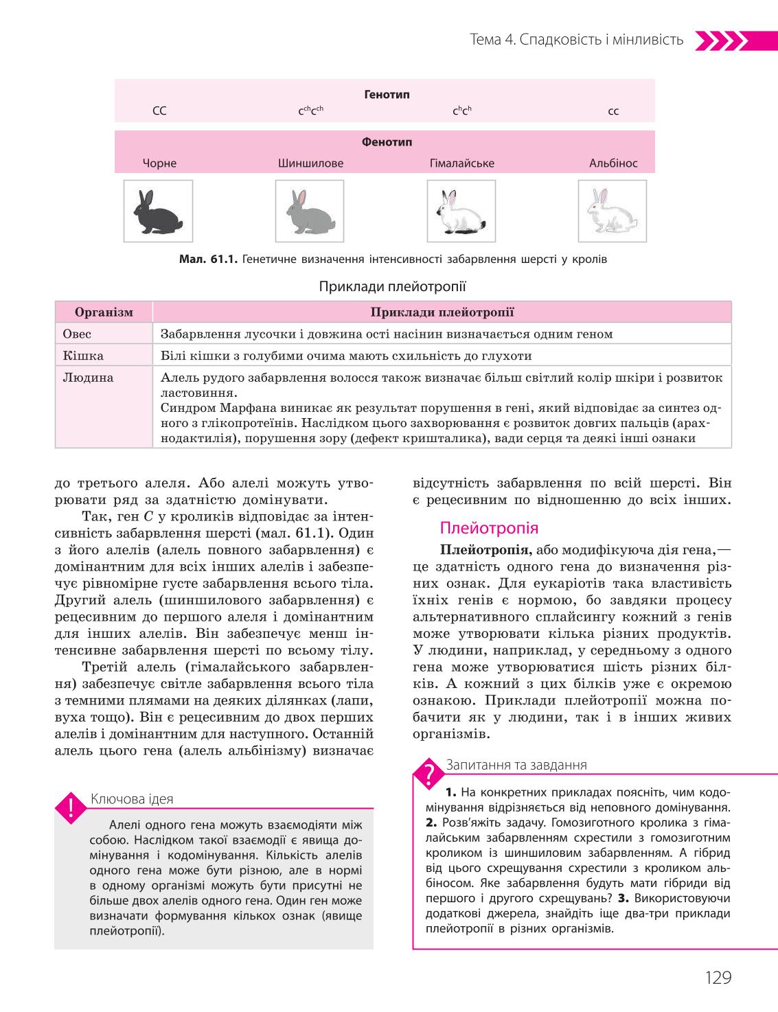 Мініатюра 129