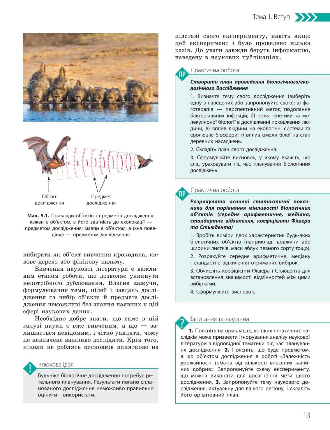 Мініатюра 13