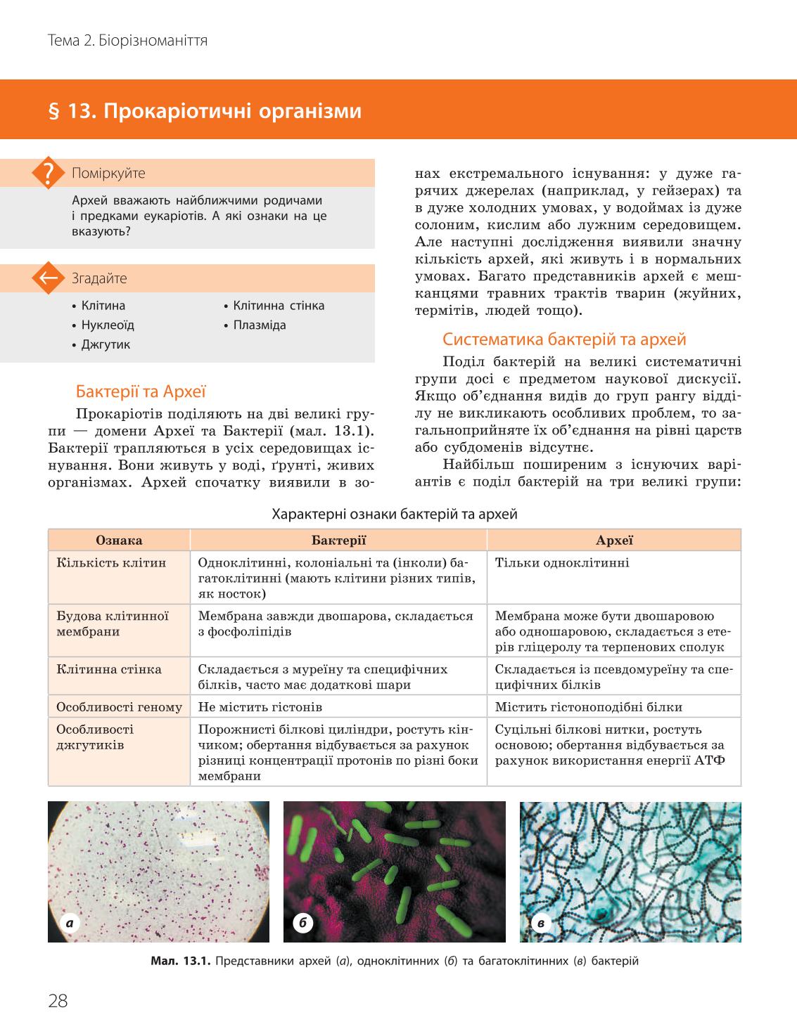 Мініатюра 28