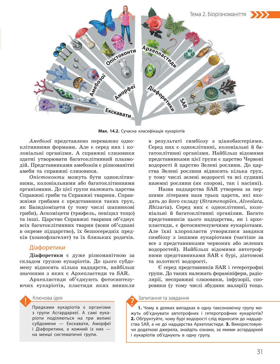 Мініатюра 31