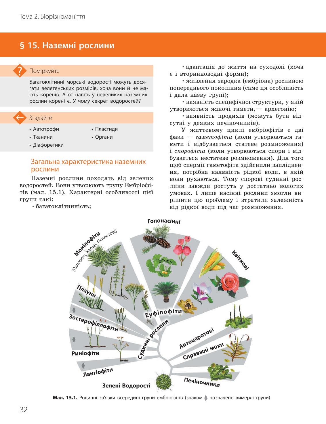 Мініатюра 32