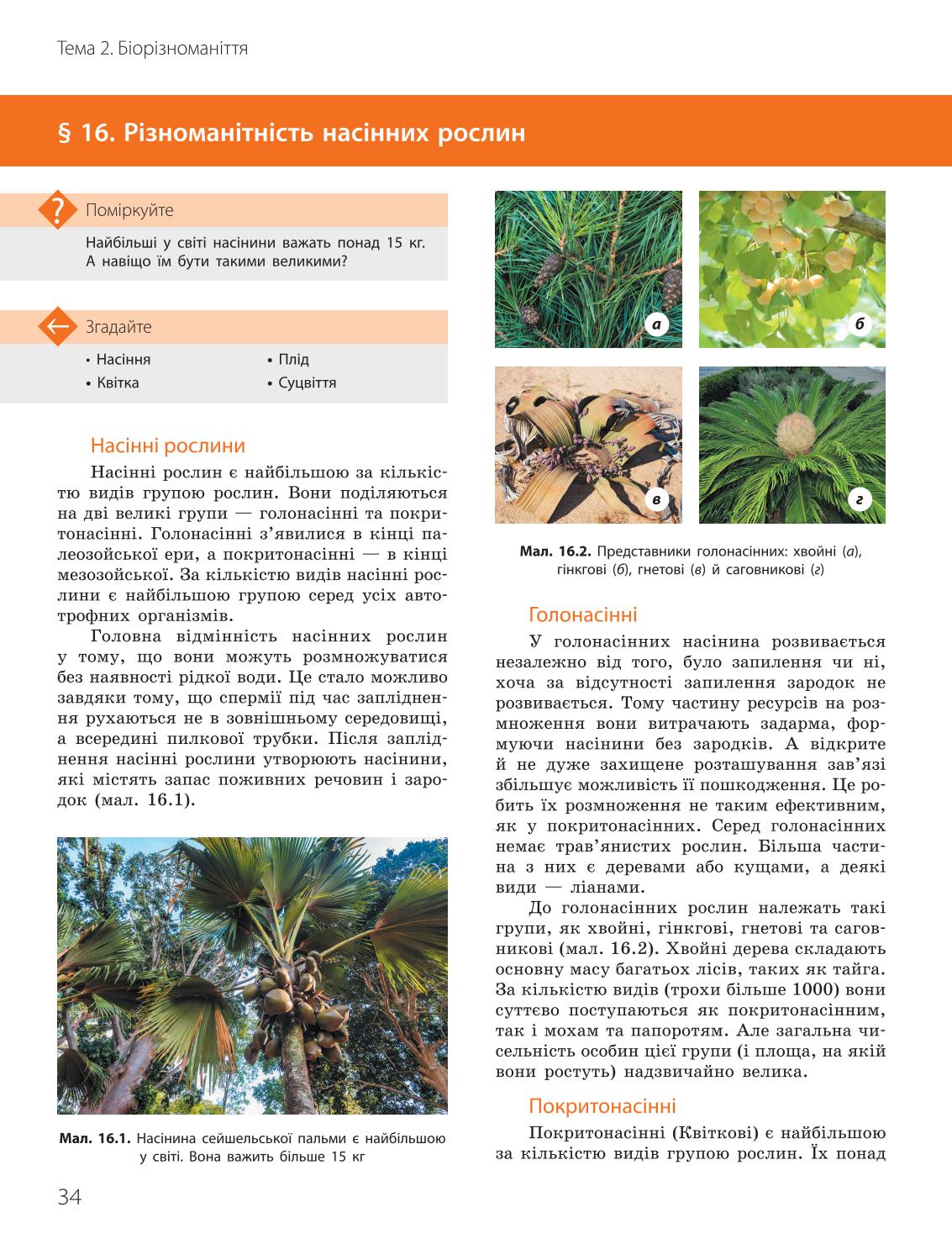 Мініатюра 34