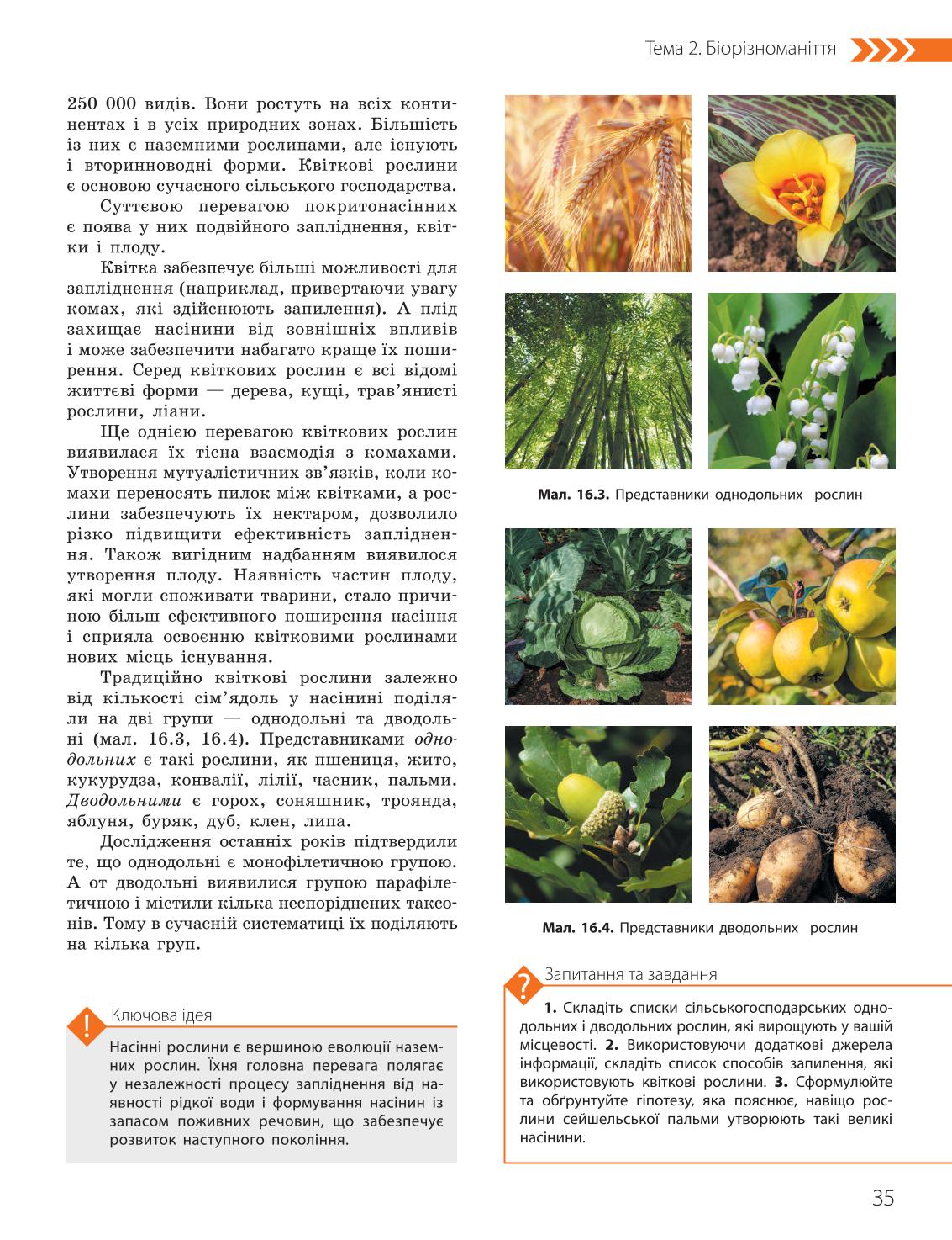 Мініатюра 35