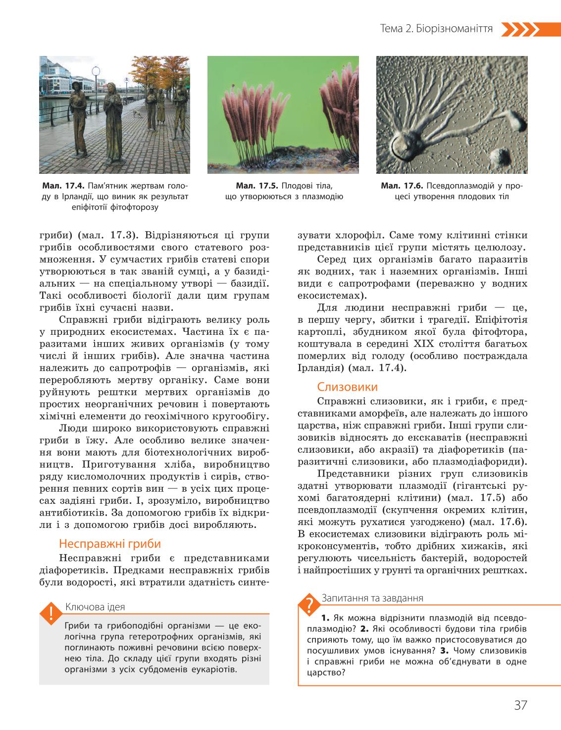 Мініатюра 37