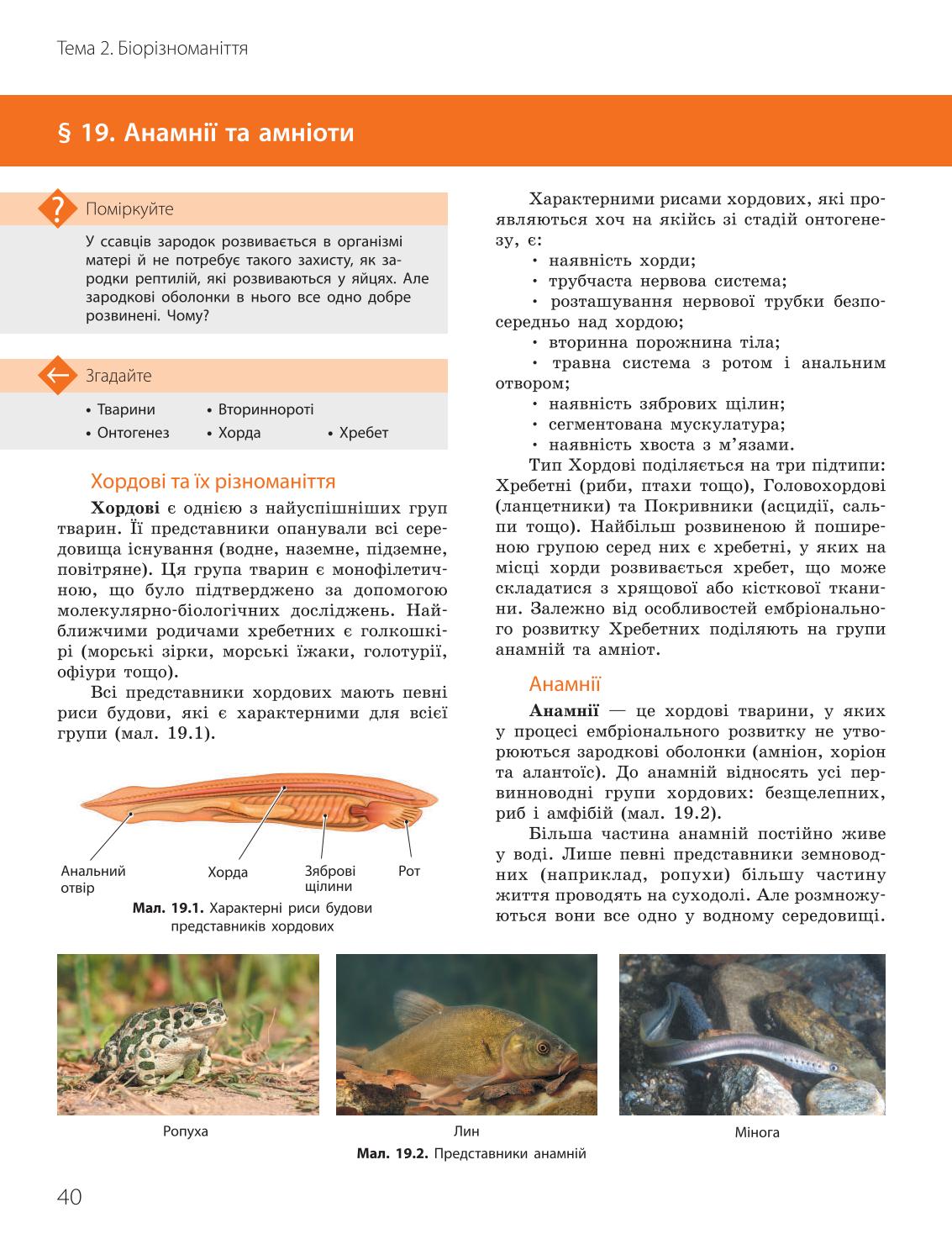 Мініатюра 40