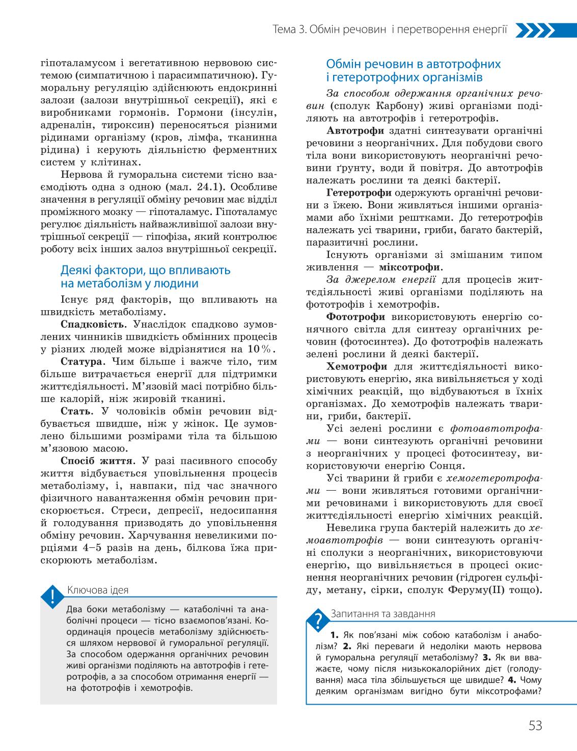 Мініатюра 53