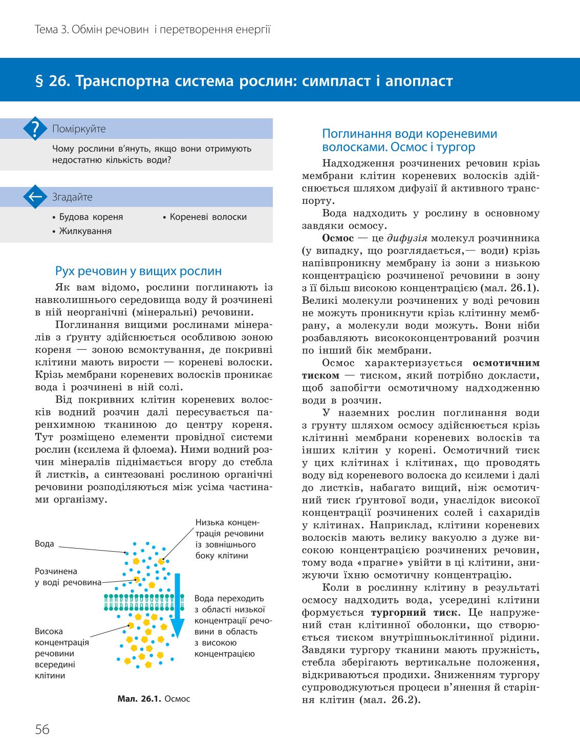 Мініатюра 56