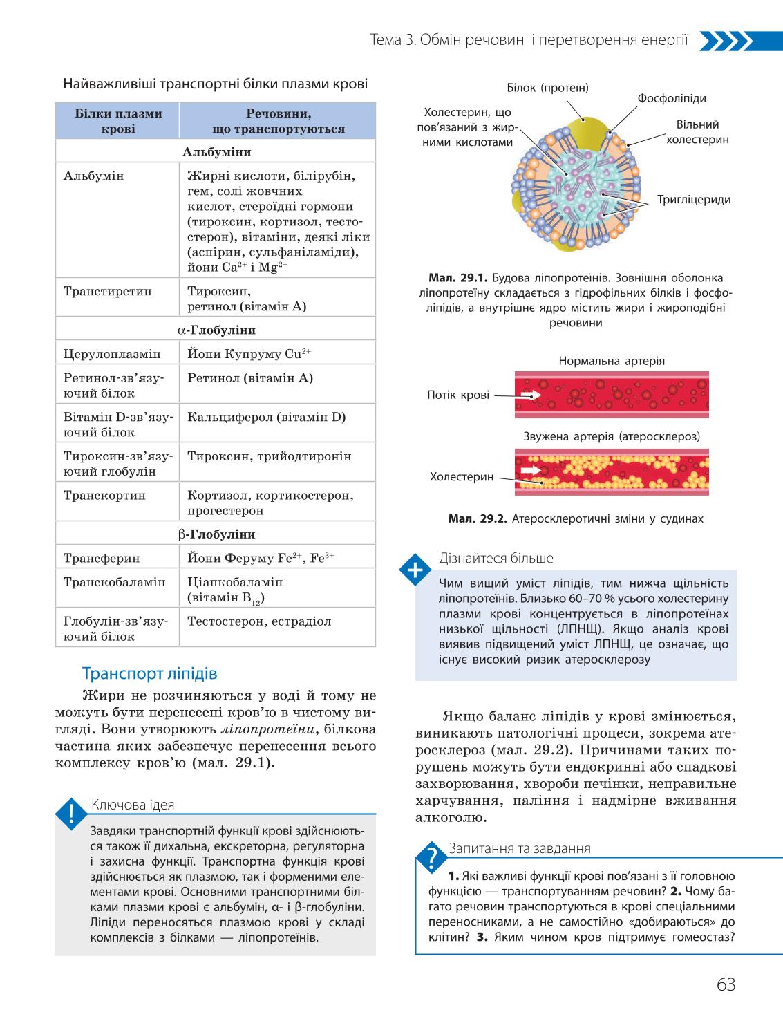 Мініатюра 63