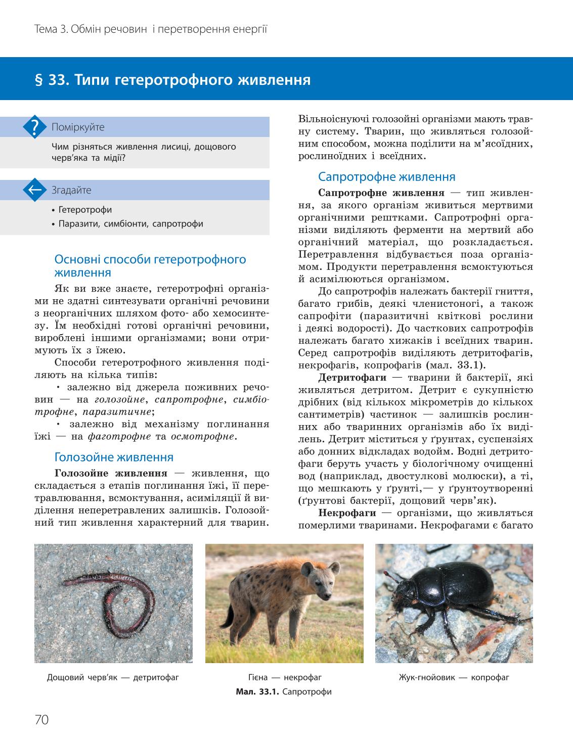 Мініатюра 70