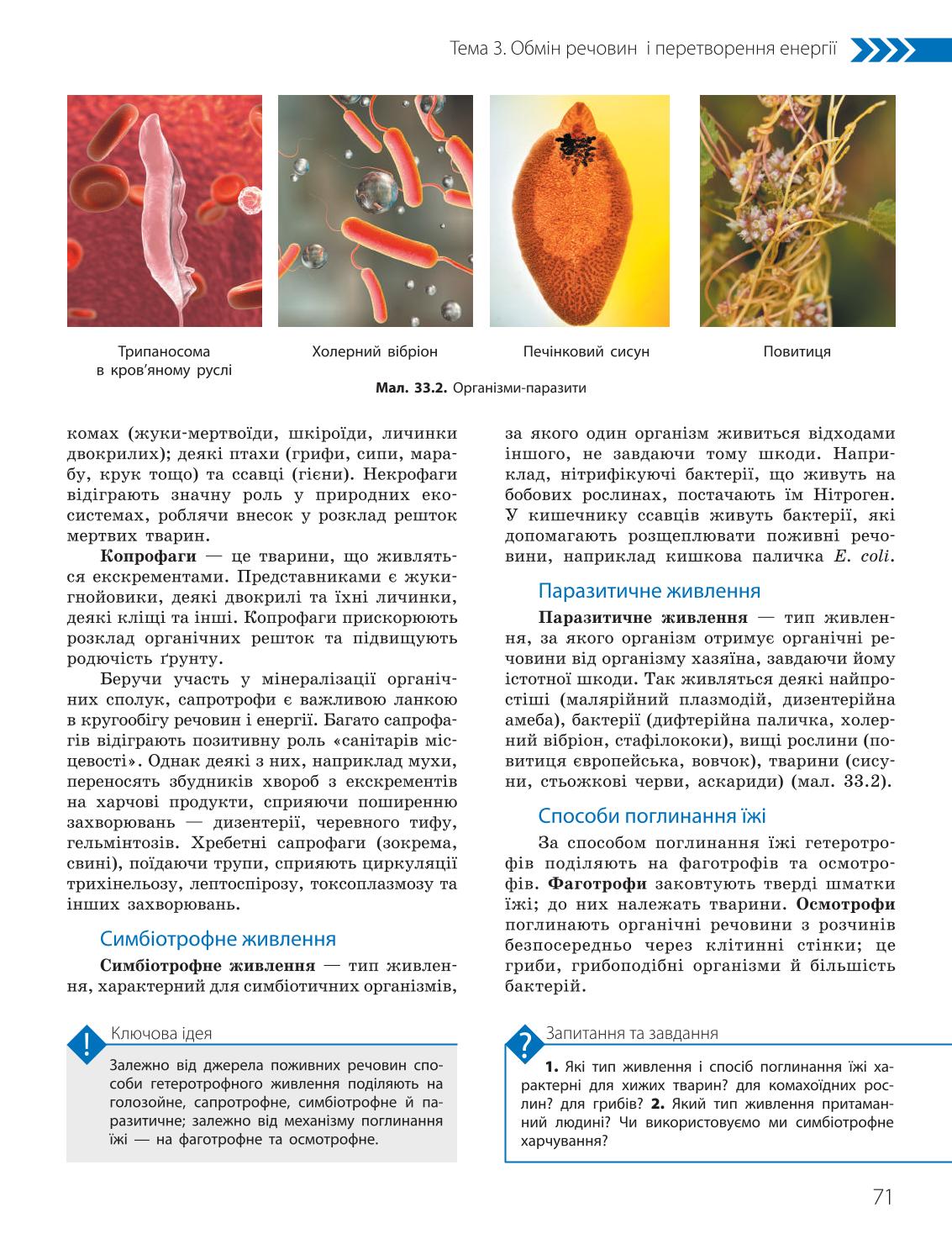 Мініатюра 71