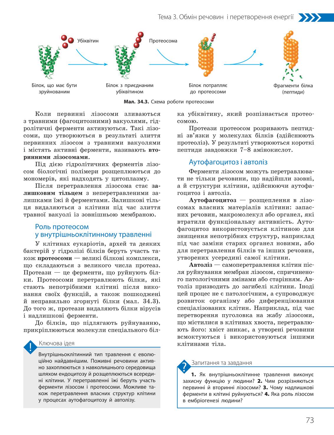 Мініатюра 73