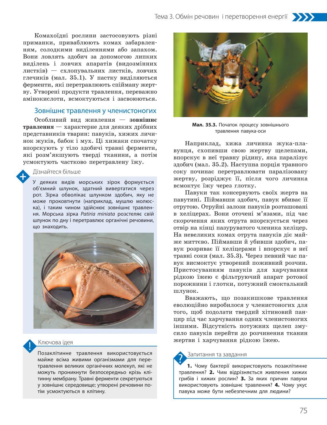 Мініатюра 75