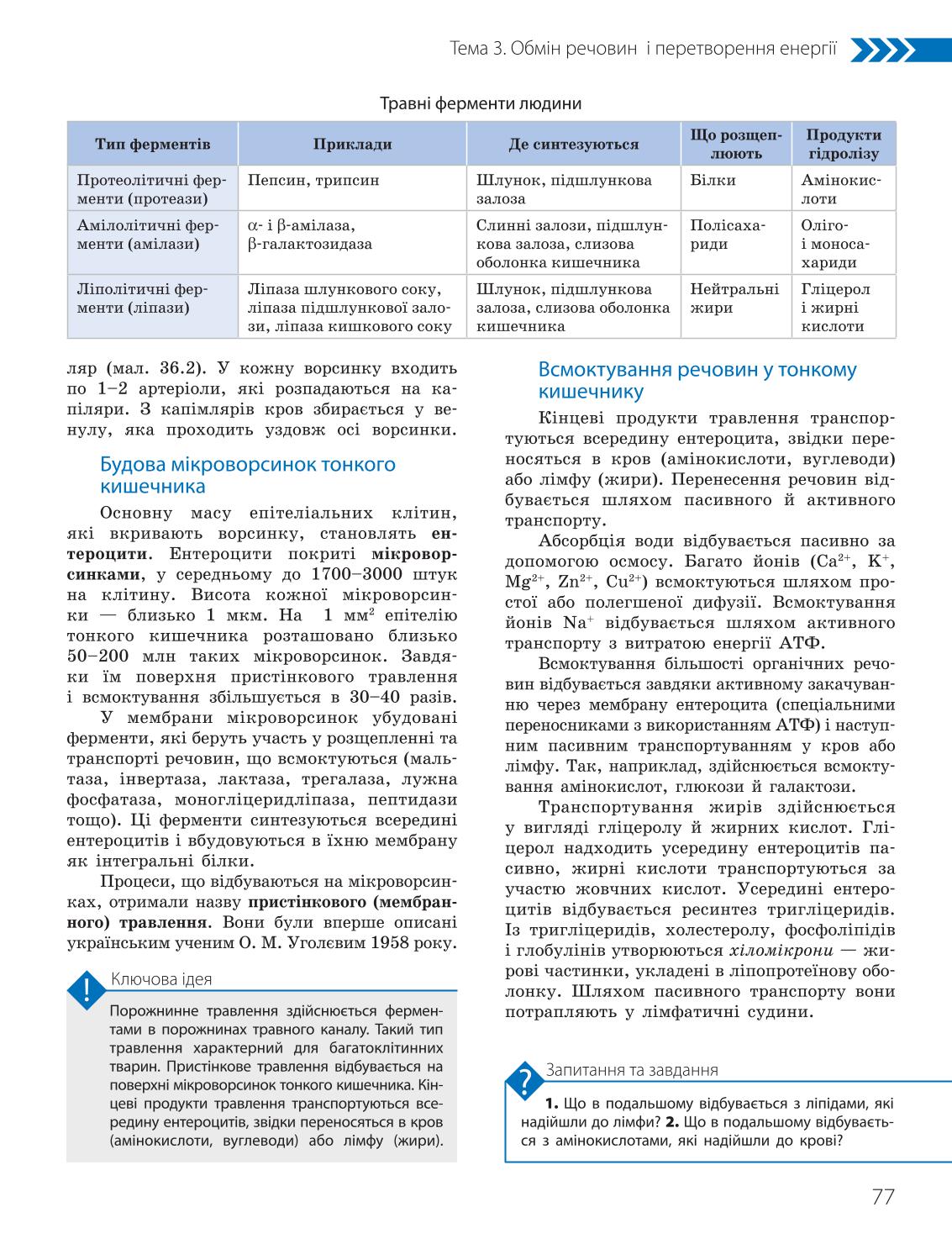 Мініатюра 77