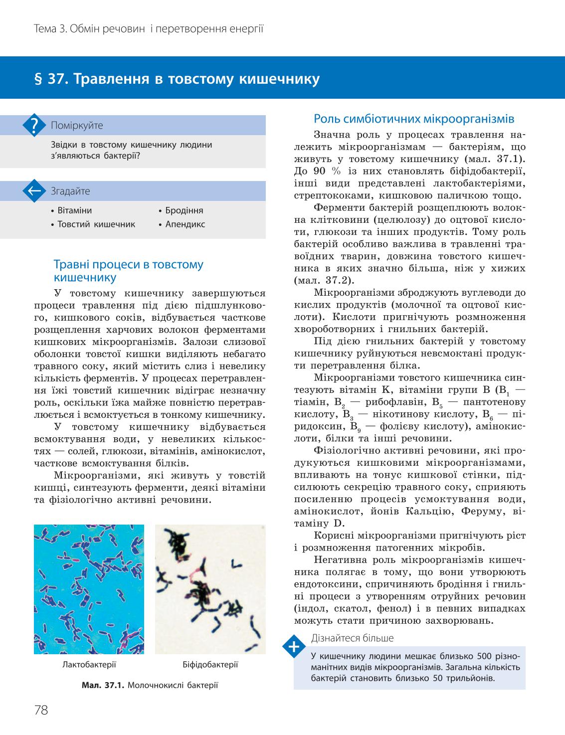 Мініатюра 78